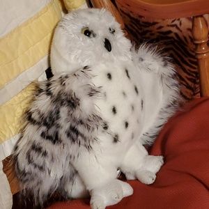 Meet your Posher, Stephanie kay